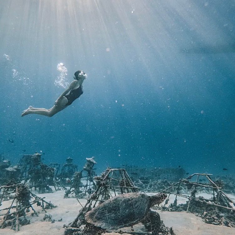 Le Premier Maillot de bain menstruel ET recyclé ! 🌊

Actuellement dans le monde, seules quatre marques ont tenté de répondre à cette problématique. Nous avons souhaité rendre aux océans leur pureté en le réalisant à partir de filets de pêche recyclés ECONYL®... J-1🚀