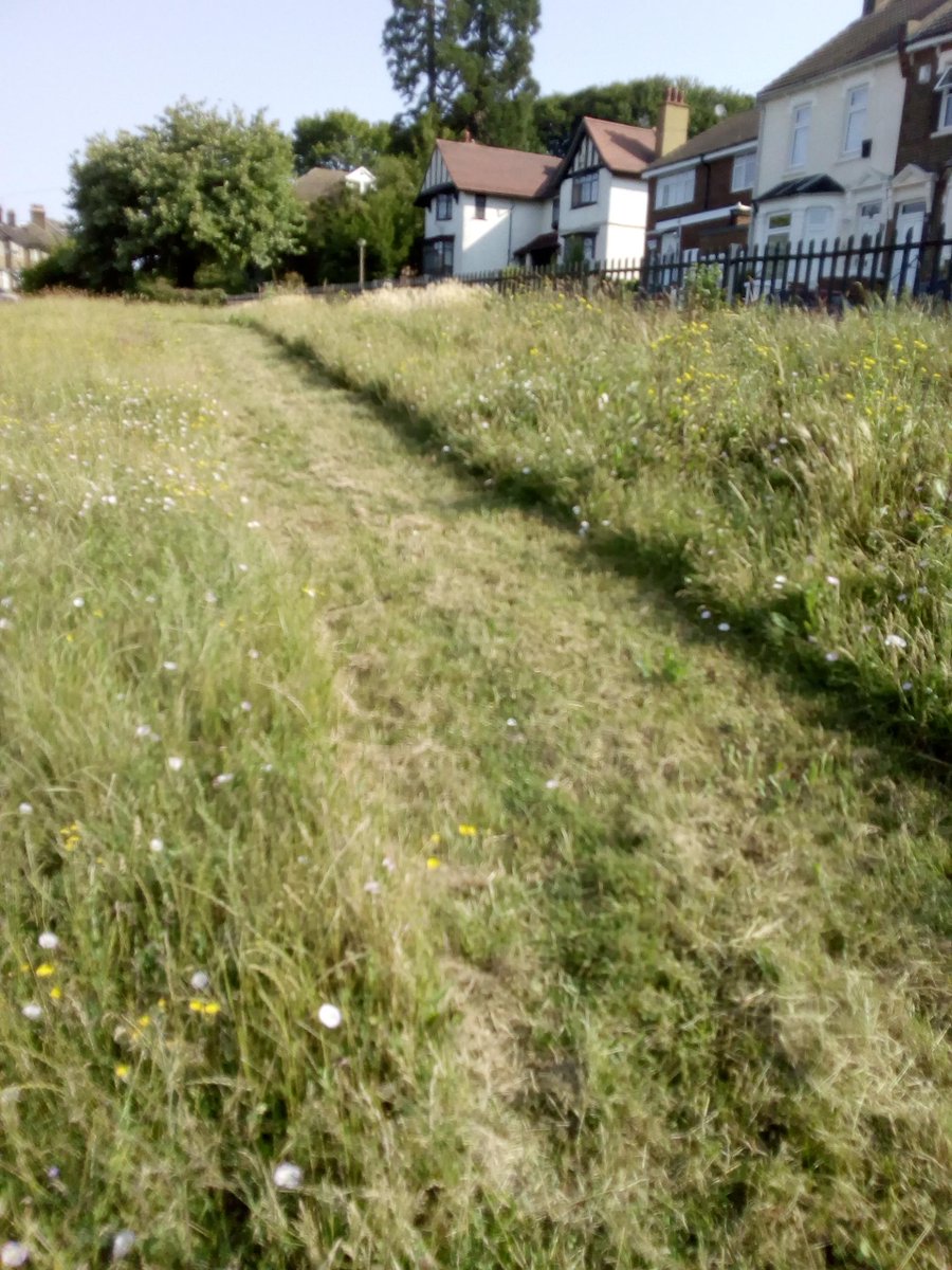 Introducing Cliffe Road Playpark's no-mow areas
Balancing free play with habitat for butterflies &amp; insects
️Wildflowers and grasses
Giving residents spaces they love
#MarvellousMedwayMeadows
@clifferoadpark