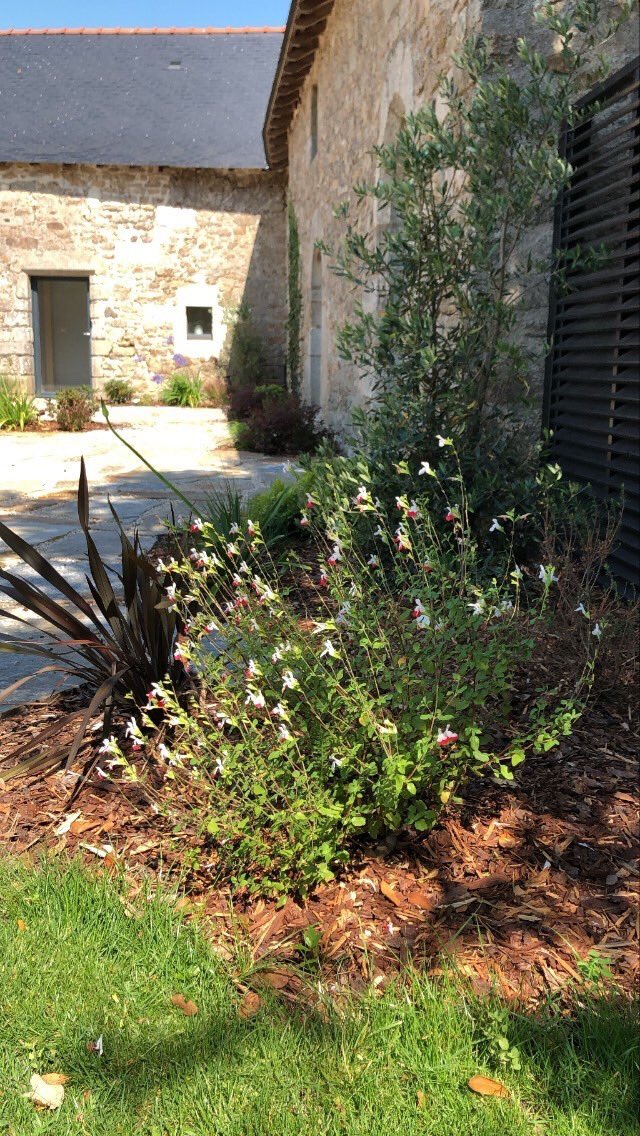 Le parc est en fleur 😎👍🏻