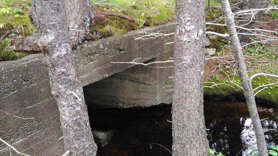 Another old picture. This is an old concrete bridge or culvert spanning a brook that empties into Chedabucto Bay in Queensport, NS. The main road that became Route 16 ran across it a century ago. Artifact of a prior era.
