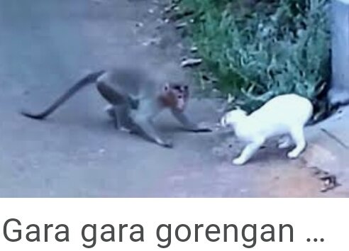 Demo, debat, politik jalanan, siapa menggebug siapa.
Bentuk perpolitikan apa, propaganda Cemen.
Pastilah menghasilkan pemenang.
Yg menang propagandis, 
atau obyek yg dituduh (the object of accusation)
pasti muncul.
Bendera PDIP menjadi tertuduh.