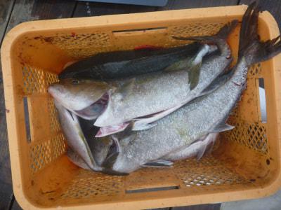 تويتر 公式 釣堀紀州 على تويتر アメブロを更新しました 6月27日の釣果 クエ釣れました と 7月のイベント 釣堀紀州 釣り堀 紀州 釣り好き 釣り好きとつながりたい 釣り レジャー 屋外レジャー T Co Rptons5tyr T Co Mjpfliqmuu