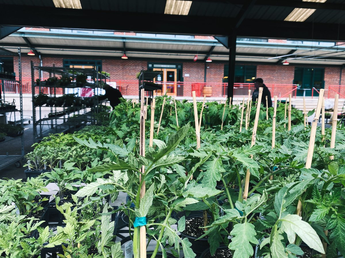 How are your gardens coming along?? We want to see! Be sure to tag us when you post pictures of your fruits and veggies through the coming months. 🥬🍓🥕