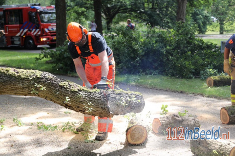 Boom valt over het fietspad en de rijbaan aan de John F Kennedylaan in #Apeldoorn. 112 in Beeld.