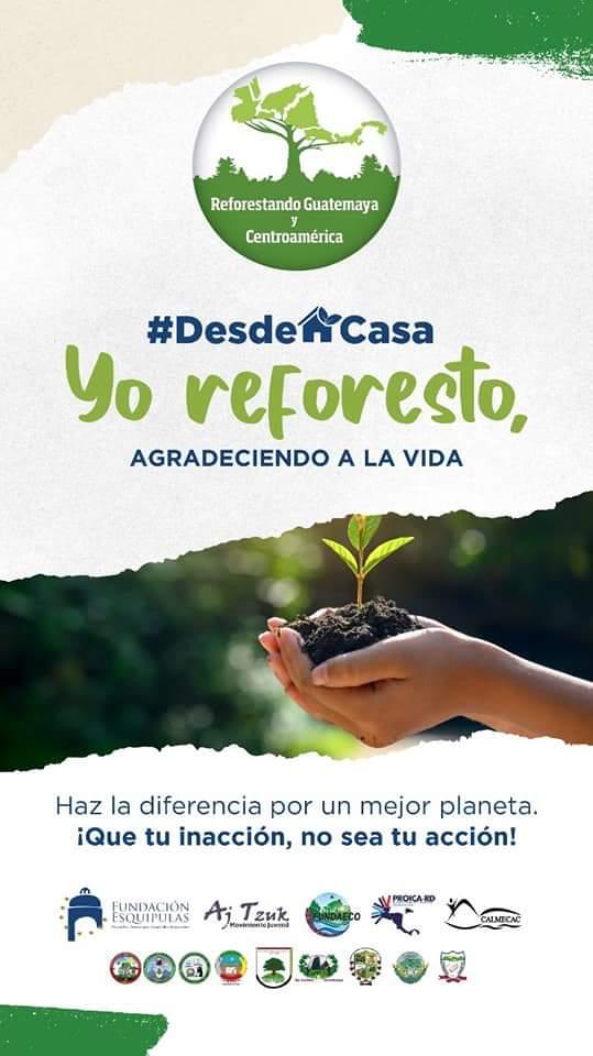 JorgeRaulCruzV's tweet photo. Plantemos un árbol en agradecimiento a la vida. Cuidemos del medio ambiente. #REFCA #REFCA2020 #YoReforesto #SomosREFCA https://t.co/Jxa0cZyEfP