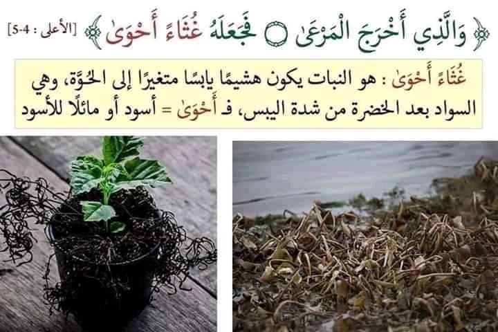 Huzifa_44's tweet image. أنا على يقين بأنك ستقرأ القرآن الكريم بمعانيه في المرة القادمه بعد رؤيتك لجمال هذه الصور ❤

#إعرف_قرآنك