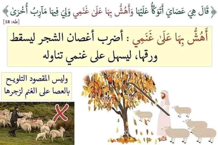 Huzifa_44's tweet image. 