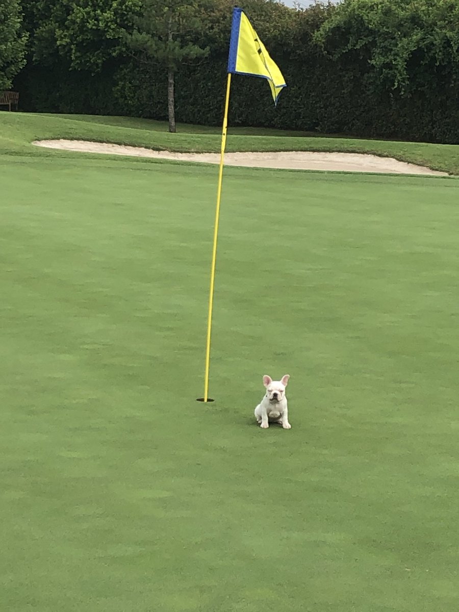 Tulsa Country Club tweet media