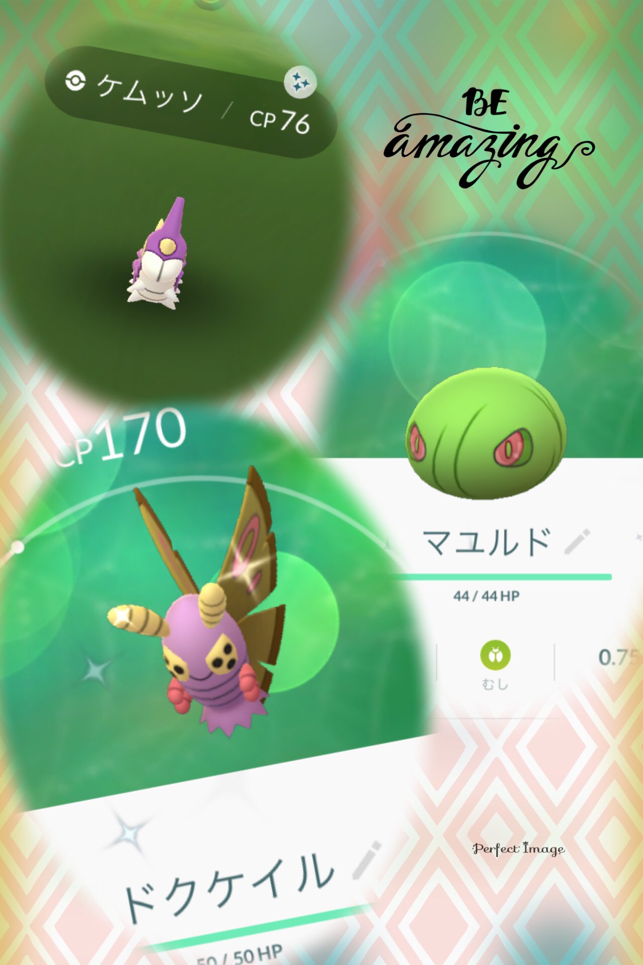 色違いドクケイル Twitter Search Twitter