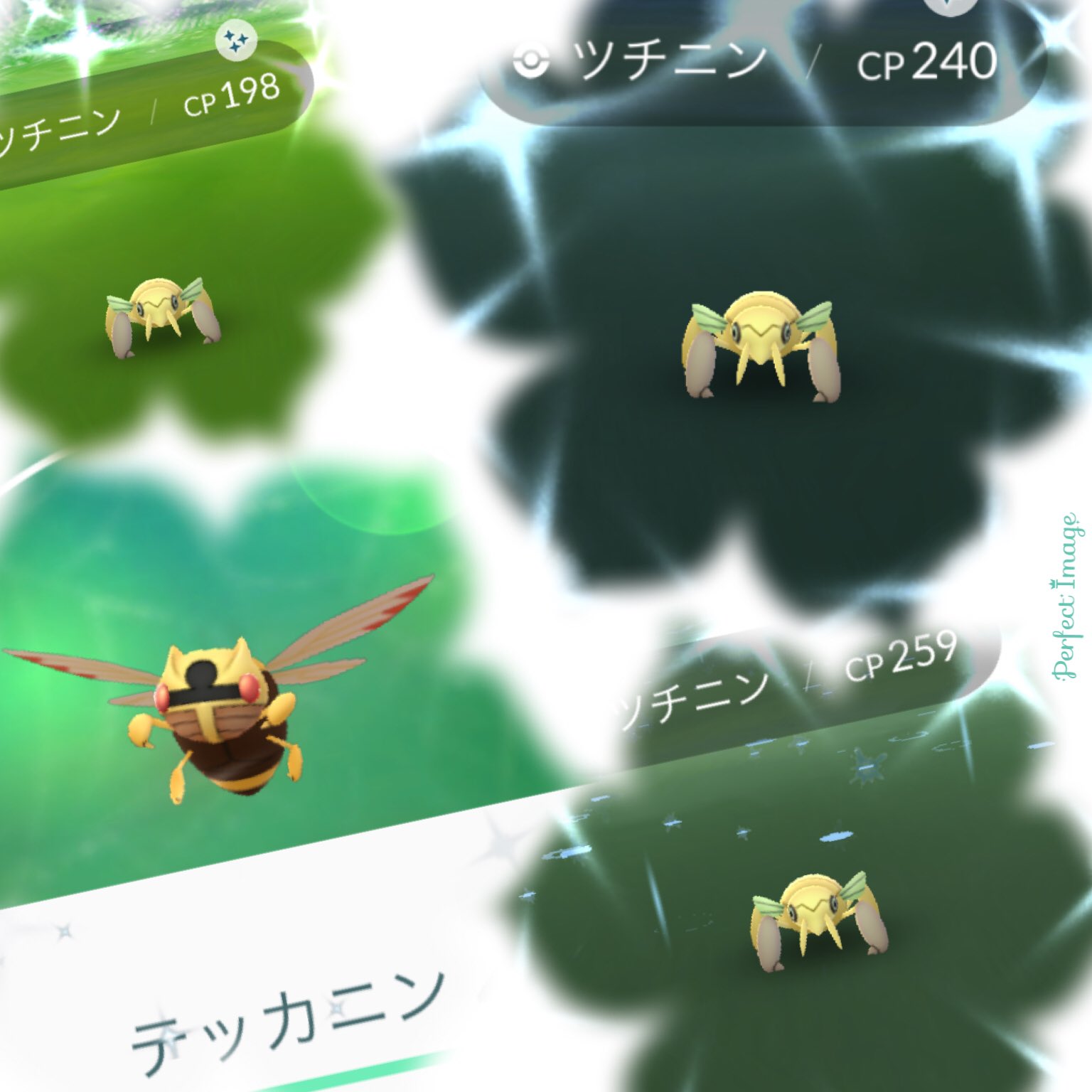 Mw Pokemongo Fukuoka ポケモンgo むしイベント 色違いツチニン 前回 1匹だったので 進化なし でしたが 今回で 色違いテッカニン まで 登録完了です 間もなく 出現率アップ予定 ケムッソ が お先に キラリ 前回 色違いアゲハント へ