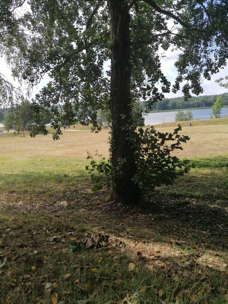 Day3/7 😉 #mylifeinpictures. No people, no description. Challenge someone everyday. I was challenged by <a href="/MBenKheder/">Mourad Ben Kheder</a> and today I challenge ⁦<a href="/MJammouci/">Mohamed Jammouci</a>