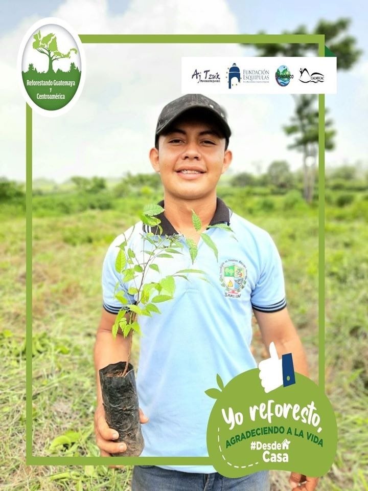 FundaEsquipulas's tweet photo. Hoy es el día cumbre para la Campaña Reforestando Guatemaya y Centroamérica #REFCA2020.
Les invitamos a participar plantando un árbolito desde sus casas y compartir con nosotros sus fotos o vídeos usando las etiquetas #REFCA2020, #DesdeCasa #YoReforesto agradeciendo la vida. https://t.co/8kgnDrQDCD