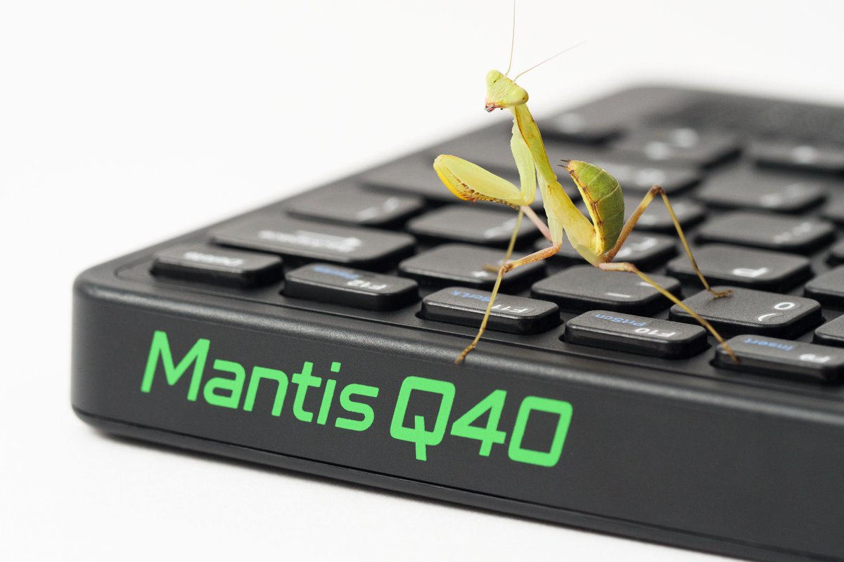 APHfortheBlind's tweet photo. There's a new mantis in town! Combining 40 refreshable braille cells with a QWERTY keyboard, Mantis Q40 is perfect for students and professionals! Connect to all of your favorite devices and use it at your desk or take it on the go! https://t.co/xlDEVQy5T7 #MantisQ40 #MantisWeek https://t.co/ehdExvwGiX