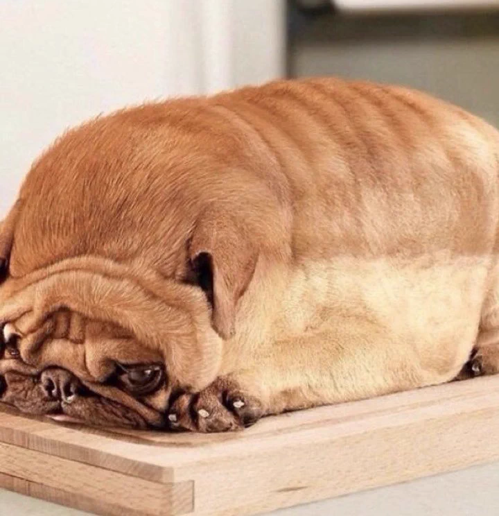 @801039 パン🍞❓ 