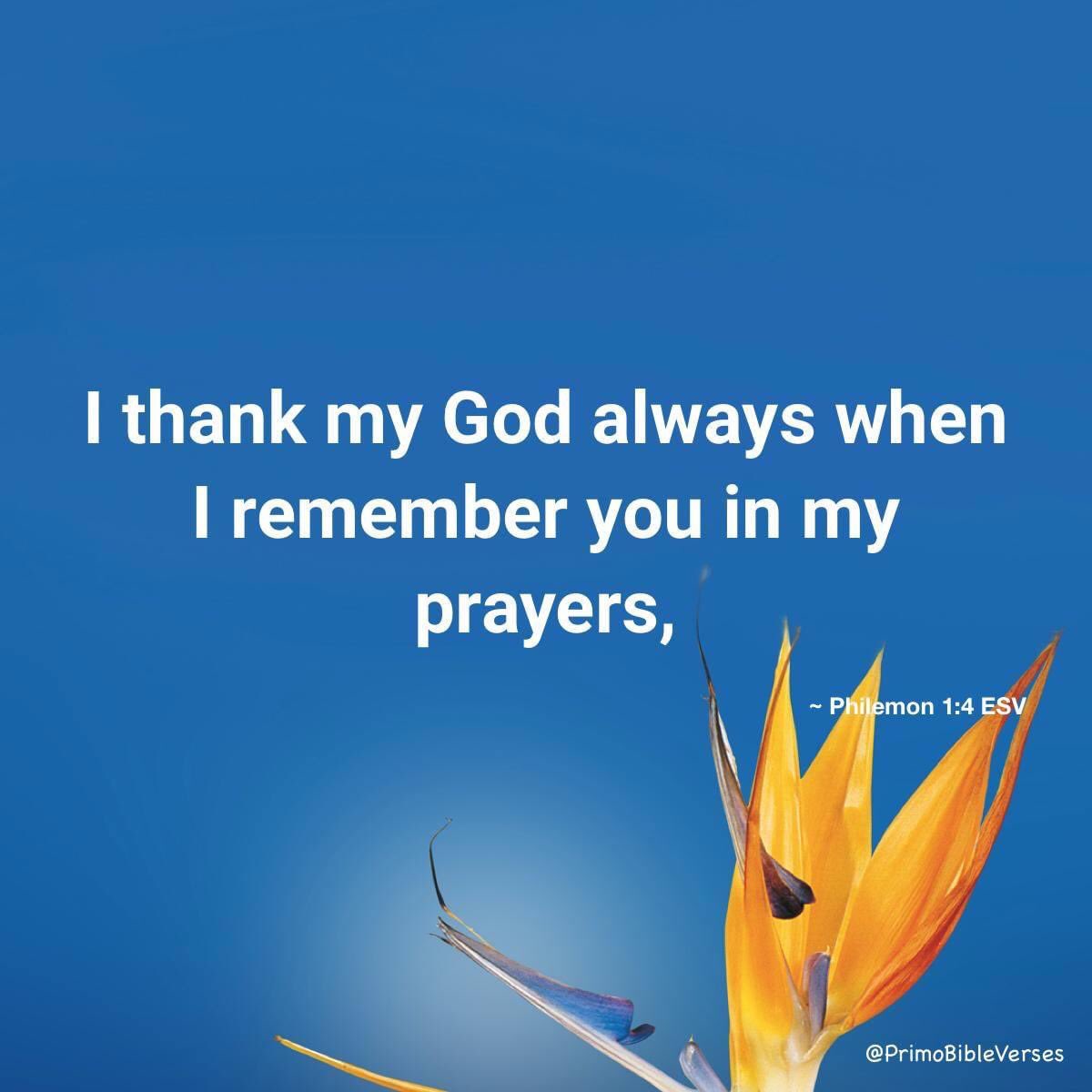 ministerricky1's tweet photo. Thank You God that we can #CongregateInPrayer in the fellowship here on Twitter
Please #LeadUs in #Prayer through Your #HolySpirit, & kindly #LeanYourHeart to our requests
Help us pray faithfully in the #FervourOfFire
Let #WillBeDone above all
#IJCN,TY
#EuropaAfricaUS https://t.co/oKmefWlXVH