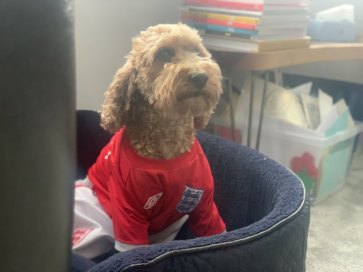 tedbites tweet picture