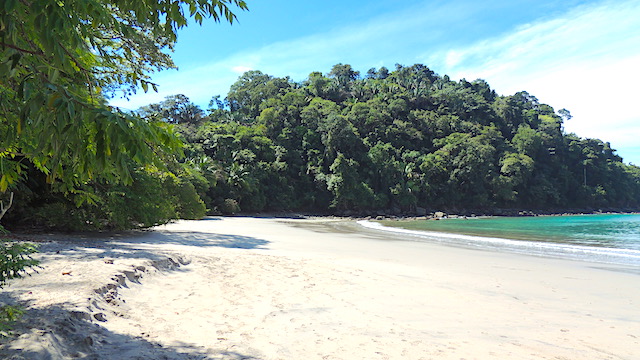 Denise S tweet media