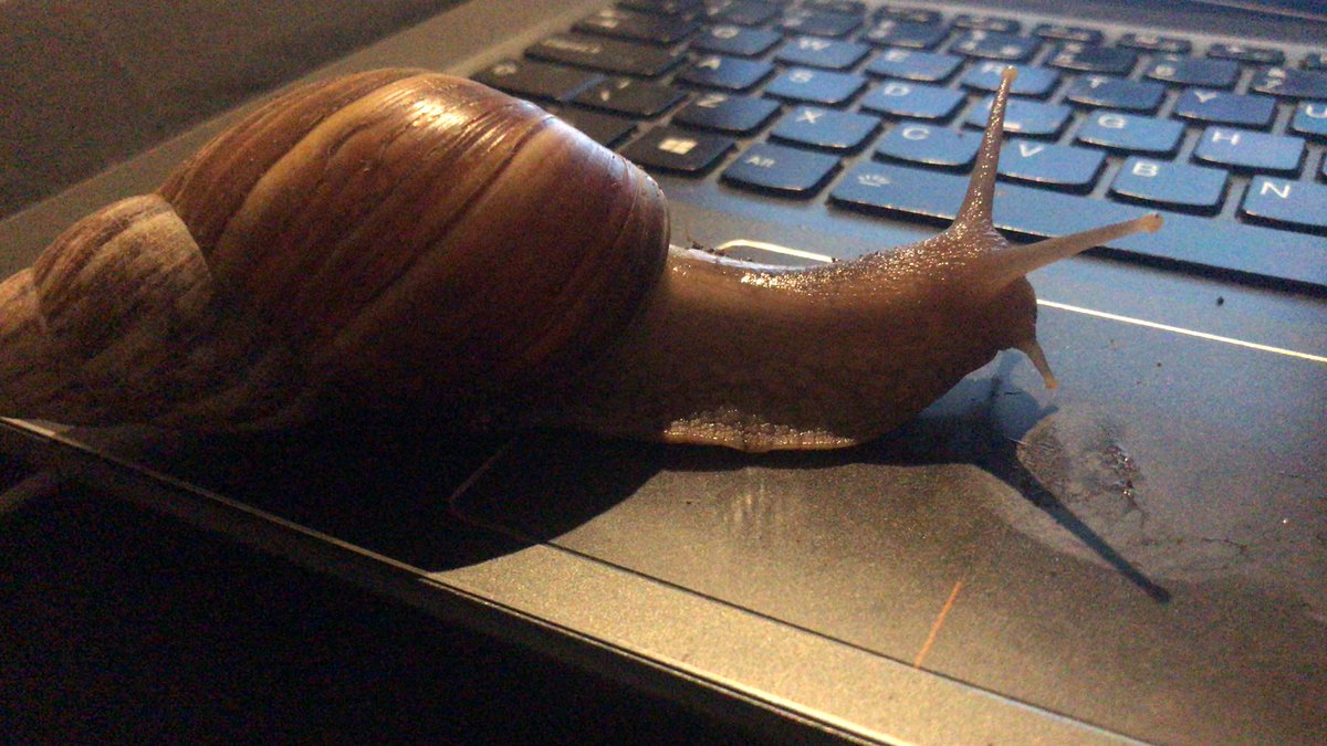 Emily__Fitz's tweet image. Workin hard or hardly workin