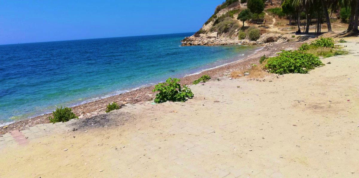 •İbn-i Sina  der ki; 
“Şüphe, hastalıkların yarısıdır. İyimser olup pozitif düşünmek ise ilaçların yarısıdır. 
Sabır ise şifanın ilk adımıdır.”