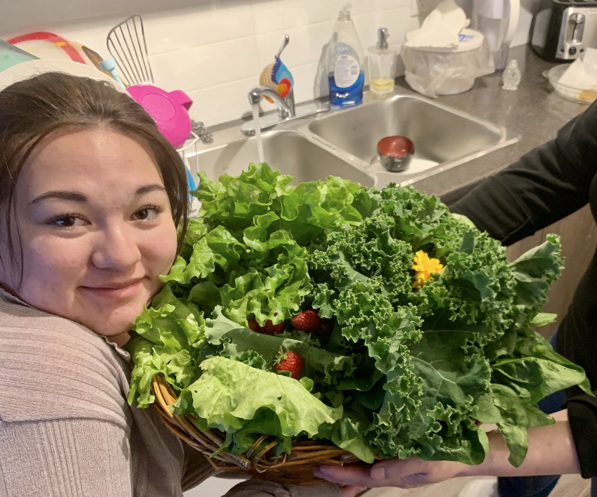 That’s spinach from my garden! Crazy! #gardening #gardens #raisedbedgardening #colwood #colwoodbc #colwoodgardensociety #communitygardens #カナダライフ　＃ビクトリア　#ガーデニング　#カナダ🇨🇦