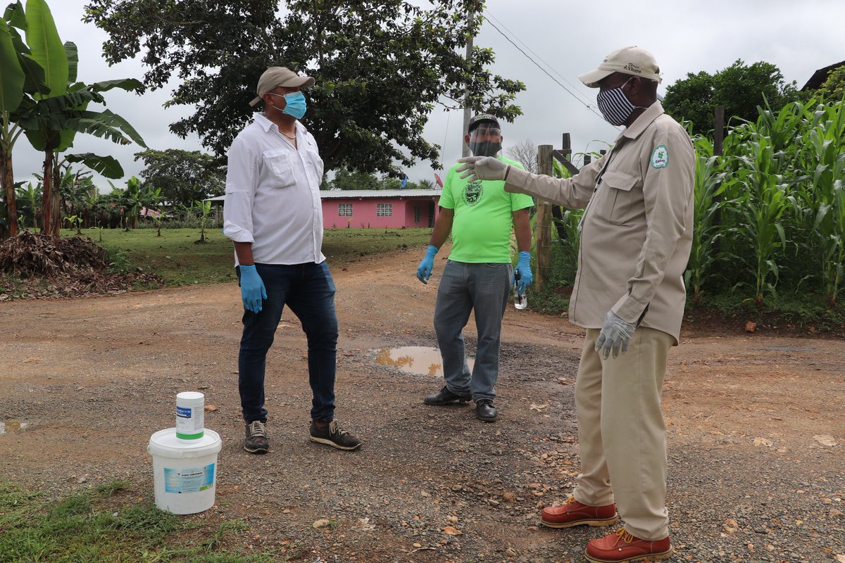 MUNPINOGANA's tweet image. Agradecidos con el trabajo en equipo y por la disposición de la sección de VECTORES #SNEM quienes se sumaron al #OperativoComunitario que organizó el equipo del #Mupi en el sector de SAN FRANCISCO.

Realizamos #Fumigación para evitar enfermedades como #Dengue. #MupiOrganizado