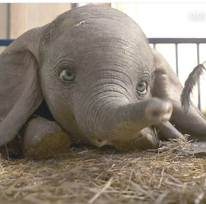 Susanta Nanda IFS (Retd) tweet media