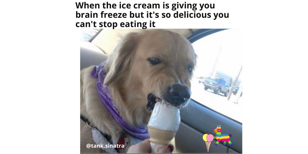 capshotofficial's tweet photo. capshot_official
Chocolate ice cream for me all the way - probably not for this guy though. You? @tank.sinatra .
.
.
.
.
.
.
.
.
#dogsofinstagram #dogsandicecream #ilovedogs #relatable #relatablememes #capshot #capshotmemes #tastesogood
53m https://t.co/7Y7kFYk81t