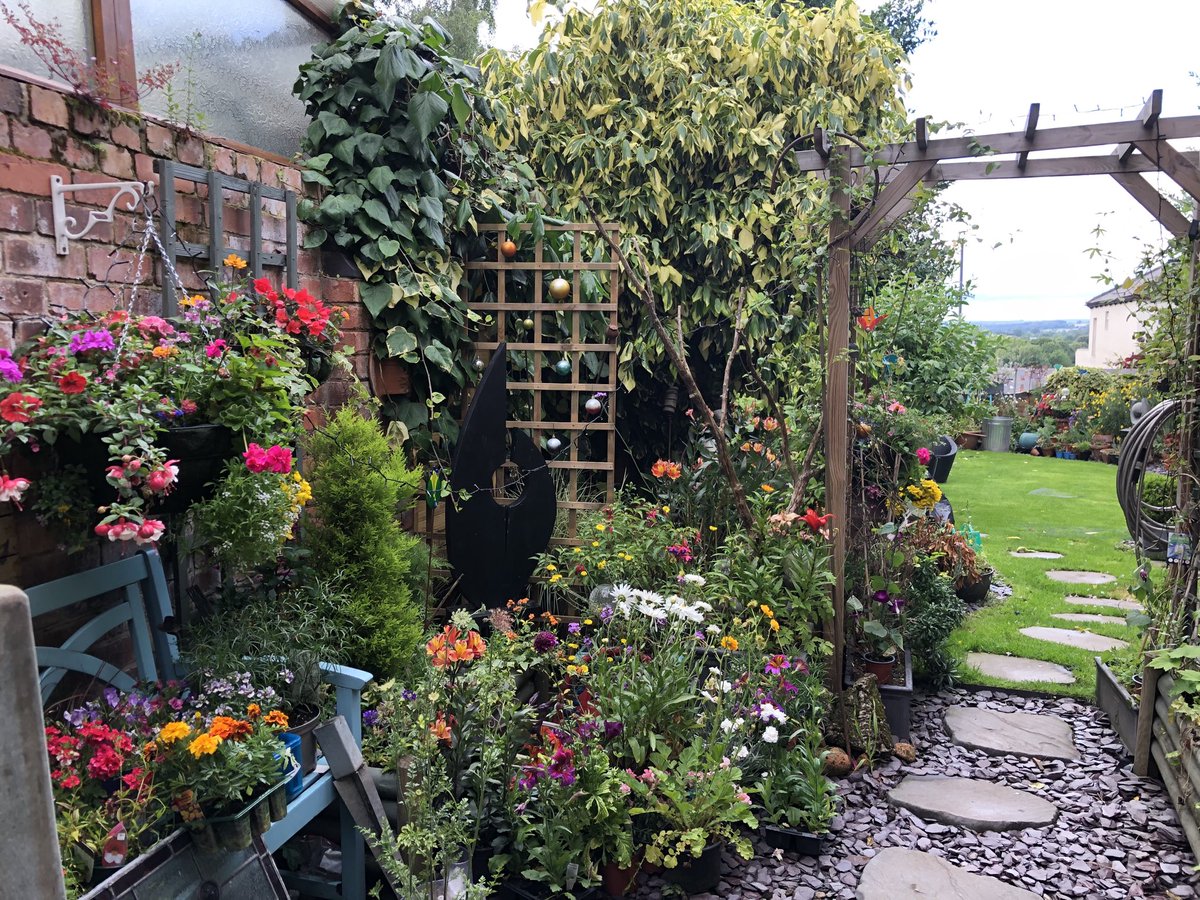 JulietHemingray's tweet image. What makes you think I love colour?! Wonderful plants from @meynellgardens