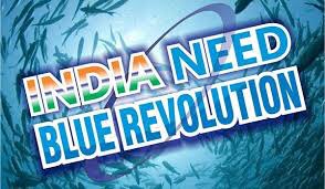 After that we can outsource the various foreign projects.2. Revolutionising the agriculture sector- We still are doing agriculture using old methods. We still are dependent on weather for the good crop growth. Farmers are still not getting the actual price for their crops.