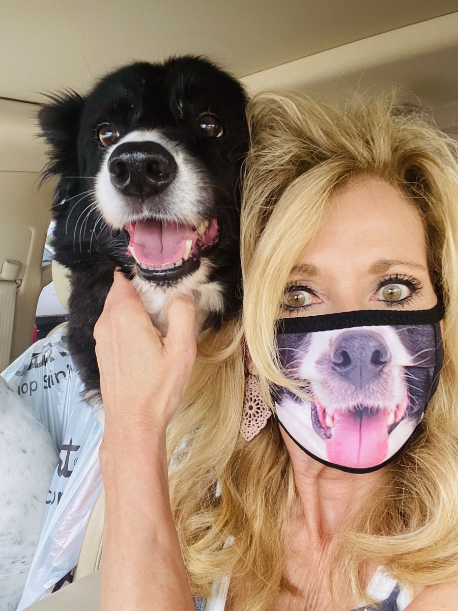 BethMooreLPM's tweet photo. Y’all look this very instant at what two of my craziest friends on earth ordered for me. https://t.co/dCWDiPzhO1