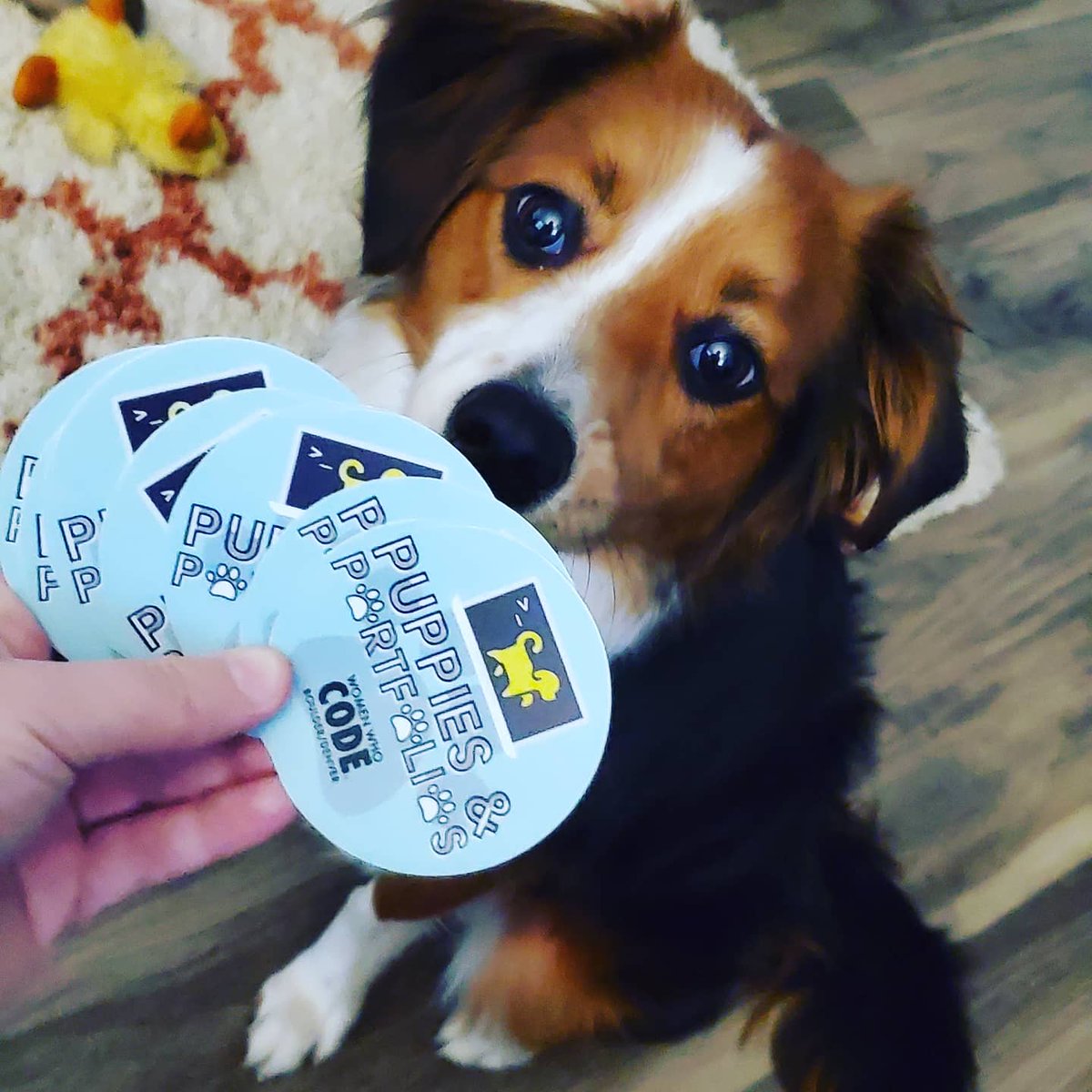 mjordancodes's tweet photo. The puppies approve!! fancy stickers for my Puppies and Portfolios meet-up with @wwcodecolorado. 

#WomenWhoCode #DogsWhoCode #PetsWhoCode #portfolio #puppy https://t.co/z0Q4OcZIii