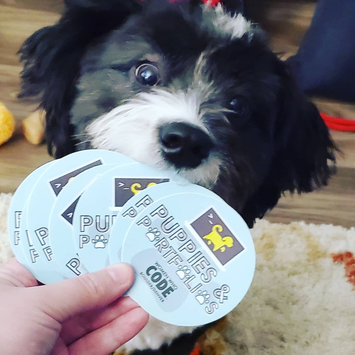 mjordancodes's tweet photo. The puppies approve!! fancy stickers for my Puppies and Portfolios meet-up with @wwcodecolorado. 

#WomenWhoCode #DogsWhoCode #PetsWhoCode #portfolio #puppy https://t.co/z0Q4OcZIii