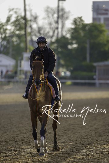 DeckTheStalls's tweet photo. 4 of the big girls taking on the Fleur de Lis today at @ChurchillDowns!!! #MidnightBisou #SerengetiEmpress #ChocolateKisses #MotionEmotion Good luck and safe trips for all!!! 🍀🐎🍀 https://t.co/6j0JpM16GJ