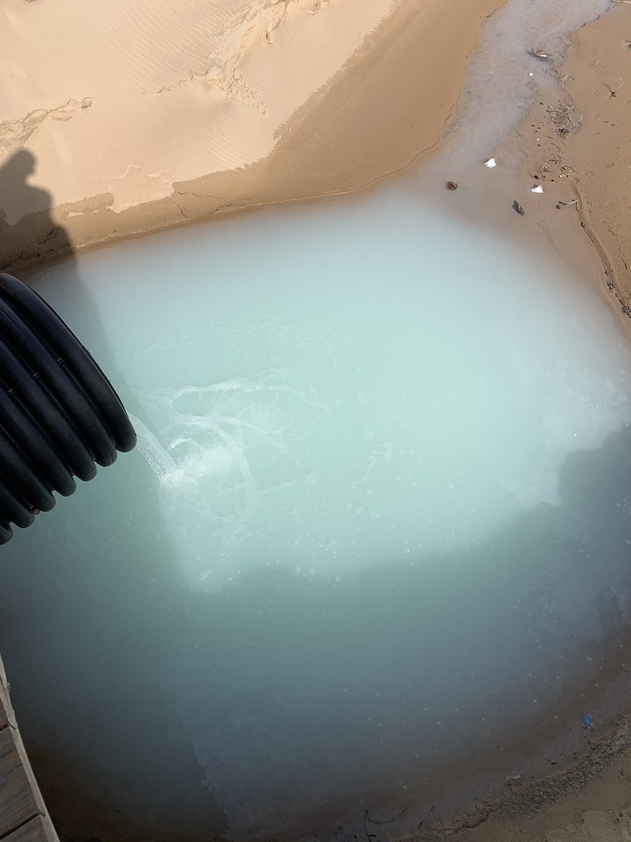 Maia Brenner tweet media