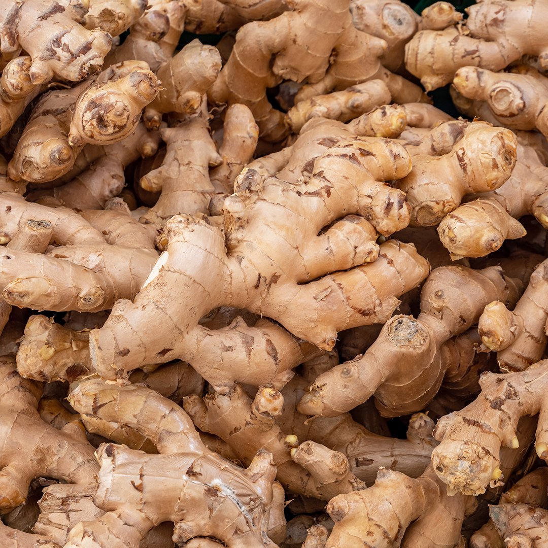 Underground Stem Ginger