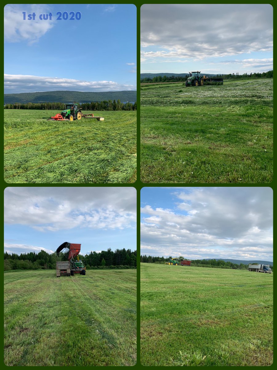 P_Headline's tweet image. The first cut marathon is well underway.....