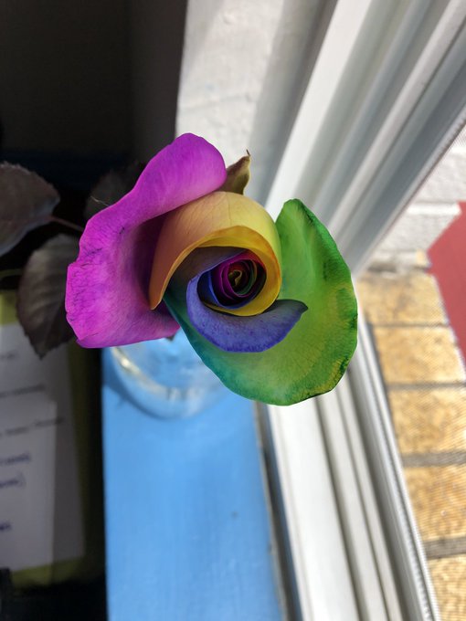 happy 🌈 from this flower, my size list, and I ❤️ https://t.co/f6qoIXdadv<a href="/tag/cannabis"class="tags"><span>#cannabis</span></a><a href="/tag/pipe"class="tags"><span>#pipe</span></a><a href="/tag/twitch"class="tags"><span>#twitch</span></a>