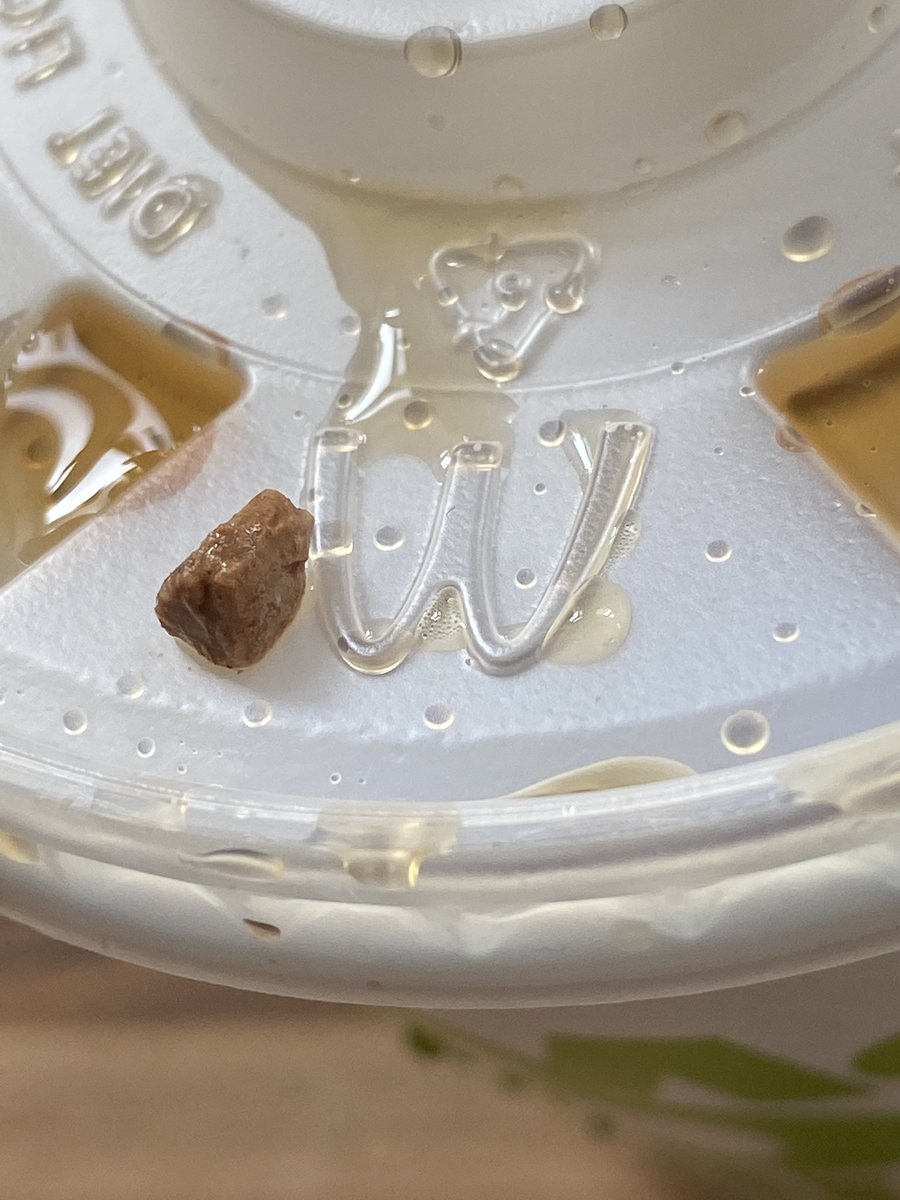 Kate Lynn Williams tweet media