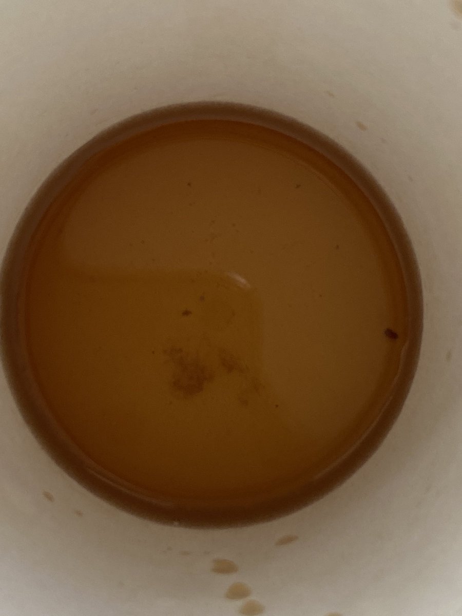 Kate Lynn Williams tweet media