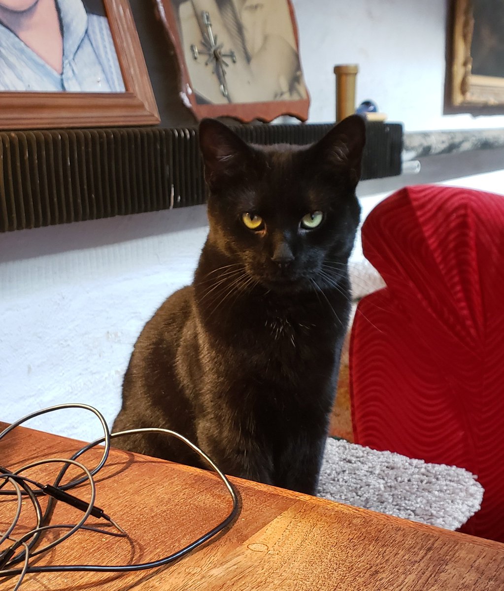 I haven't updated you all on Miss Jayuya in a bit.