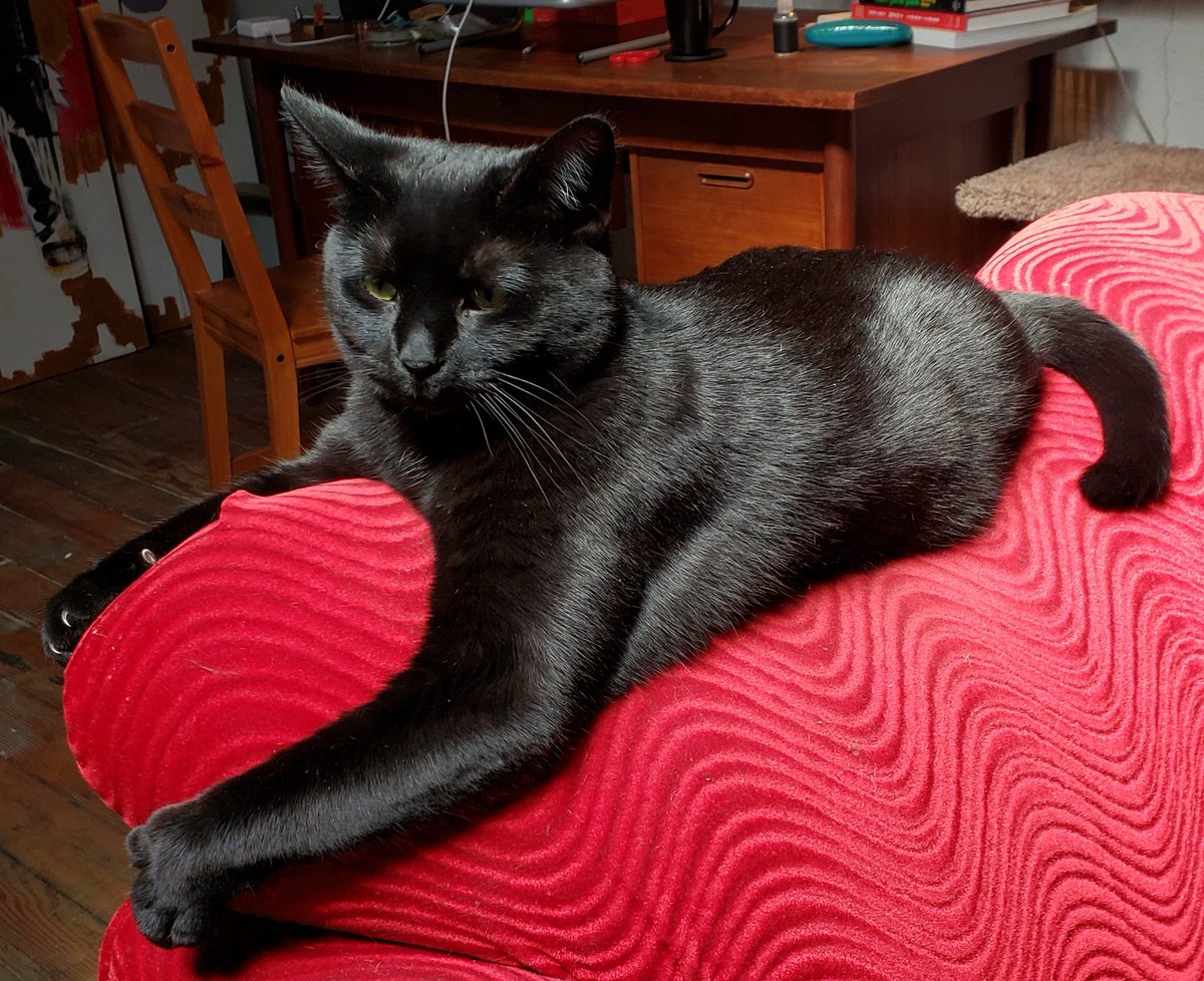 I haven't updated you all on Miss Jayuya in a bit.