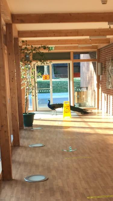 Checking that everything is ready for the boarders to come back tomorrow <a href="/stockshouse/">Stocks's House</a> <a href="/FollyfieldHouse/">Follyfield House</a> #Ronaldo