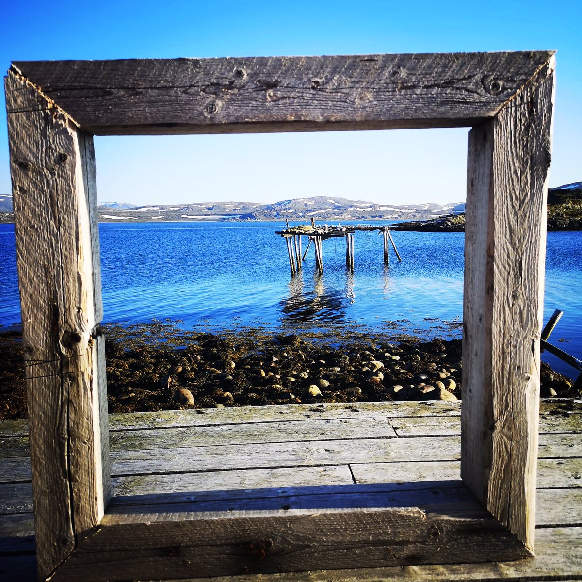 arntandersen's tweet photo. Nydelig program, nydelige folk, nydelige Finnmark #nrkfinnmark https://t.co/FmxYo0f80m