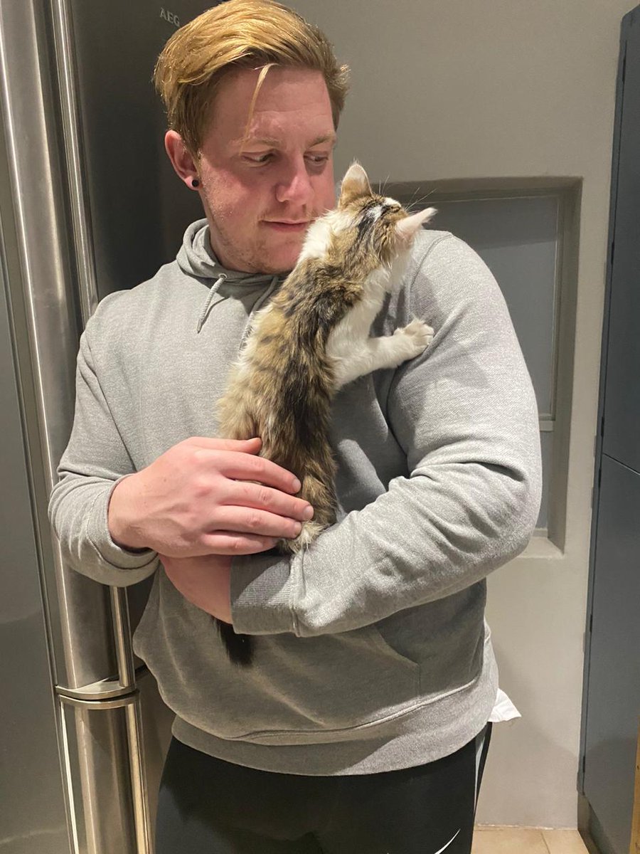 This kitty is too much. Must sit on Dev's shoulder like a parrot.