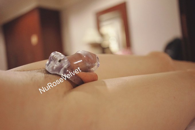 วันที่ 7  ครบ 1อาทิตย์พอดี ยิ่งล็อกนานยิ่งรู้สึกมาขึ้น เห็นอะไรนิดหน่อยก็ดัน cb แทบจะระเบิด  #prniscage<a href="/tag/cb"class="tags"><span>#cb</span></a><a href="/tag/chastitycage"class="tags"><span>#chastitycage</span></a><a href="/tag/%E0%B8%A5%E0%B9%87%E0%B8%AD%E0%B8%81%E0%B8%84%E0%B8%A7%E0%B8%A2"class="tags"><span>#ล็อกควย</span></a><a href="/tag/prniscage"class="tags"><span>#prniscage</span></a>