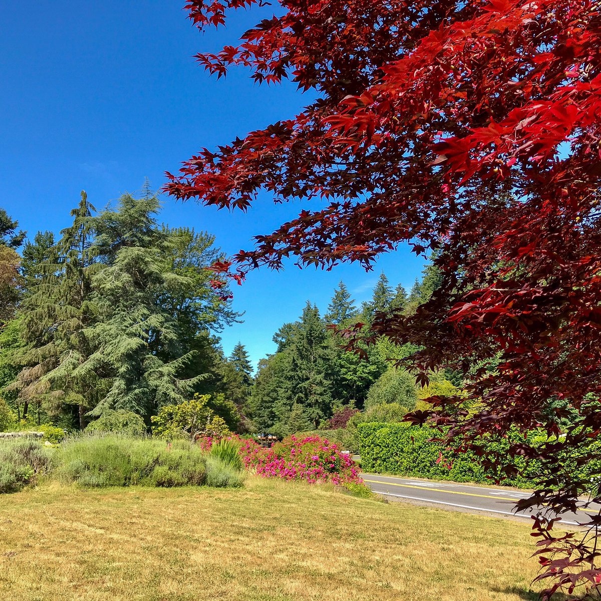 iamdldana's tweet image. 82° and sunshine yesterday. 60° rain 24hrs later. #June #Summer #samelocation #Seattle Gotta live here to love this!