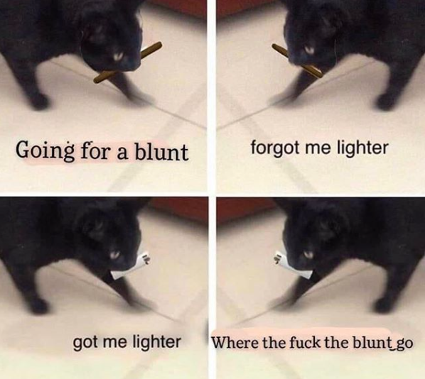 Intl_Highlife's tweet photo. Every time 😂 https://t.co/j8ZTdMmZCg