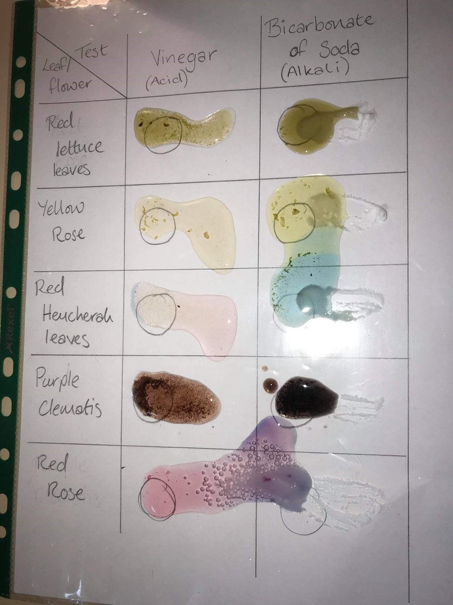 PRS_Science's tweet image. One of the teachers was inspired by #microscalechem and did a loom lesson with her class.  They were encouraged to go out and do their own investigations at home. Spoons this time, calpol syringe next time.