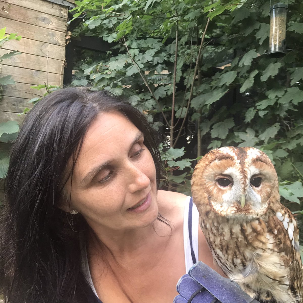 Having a little owl time.💚 <a href="/hootwithmecic/">Hoot With Me</a> <a href="/tonya_knights/">Tonya Knights</a>