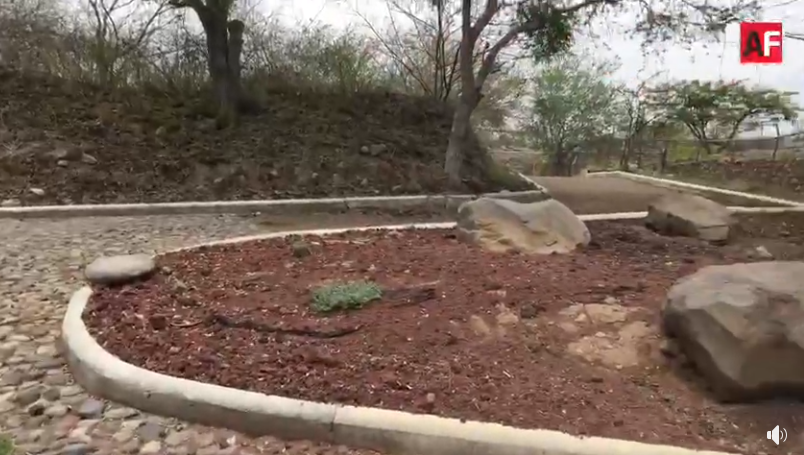 AFmedios's tweet photo. #VideoAF
Reabren con algunas restricciones parque ecológico La Campana en Villa de Álvarez
https://t.co/uGzuxjz9Wg https://t.co/b1x58vNwOh